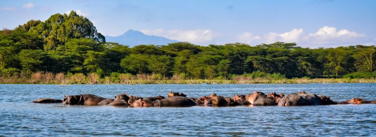 10 Days Kenyan Spirit safari