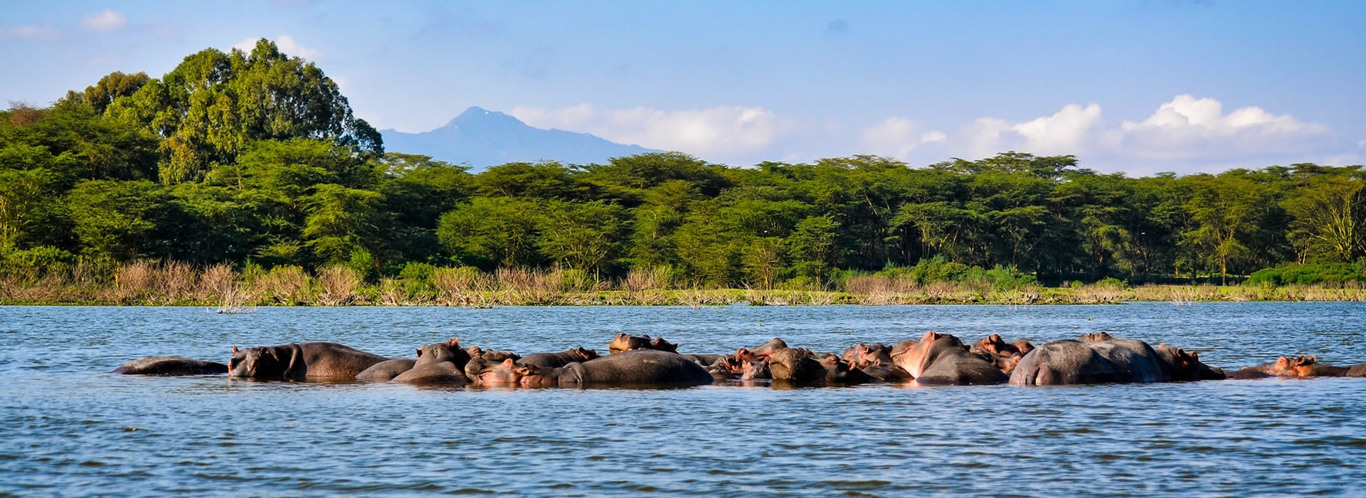 Read more about the article 10 Days Kenyan Spirit safari