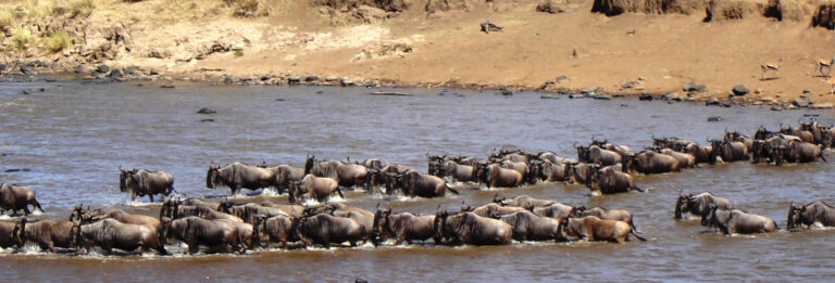 5 Days Kenyan taste safari