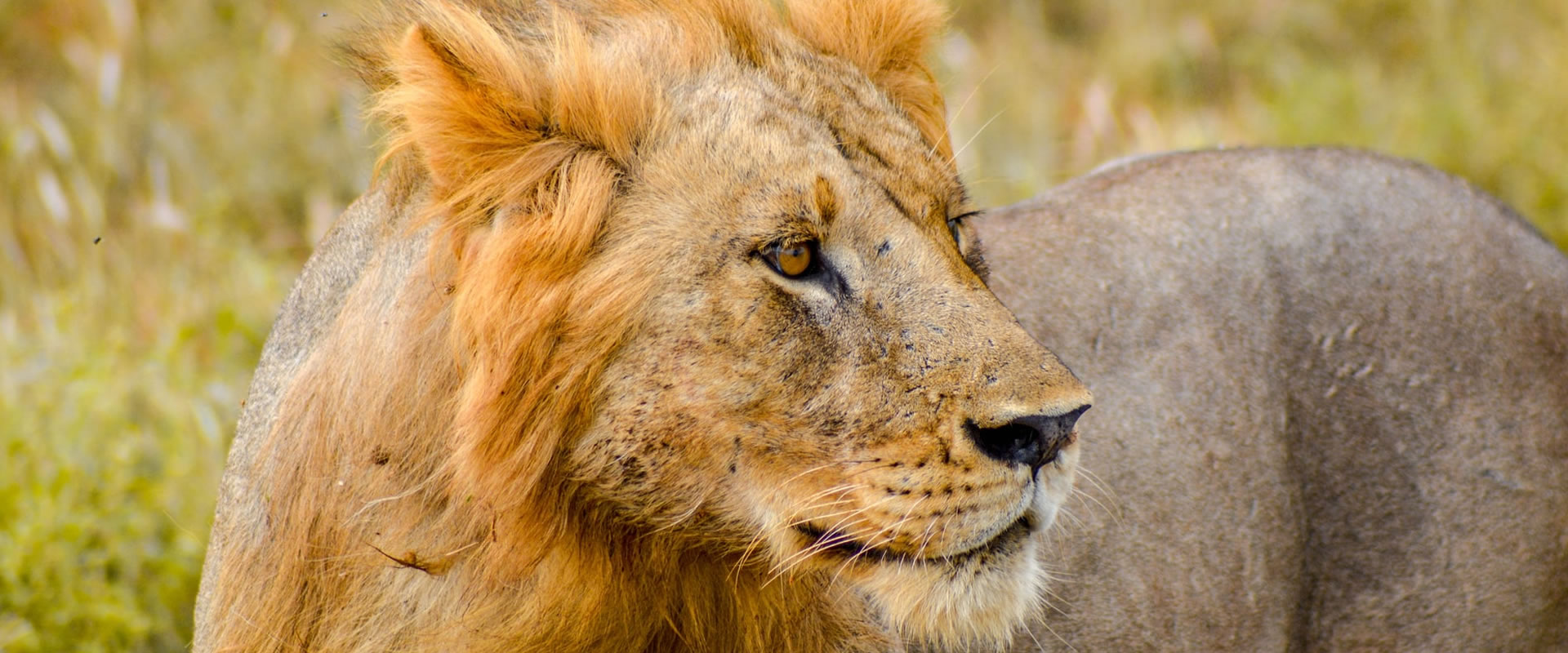5 days kenya Safari Package