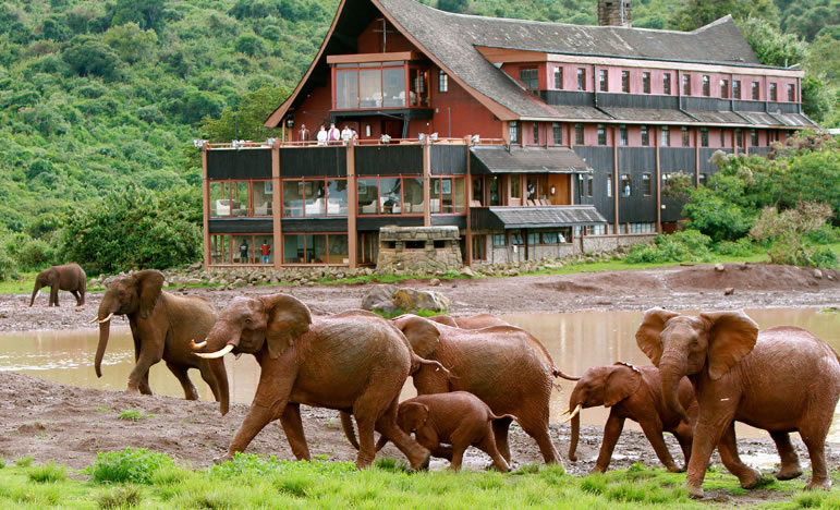 The Ark Lodge Aberdares