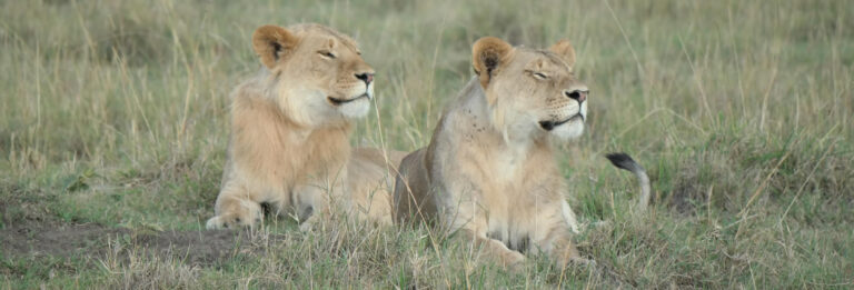 8 Days Kenya’s wonders safari