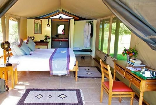Read more about the article Ziwani Wildlife Sanctuary