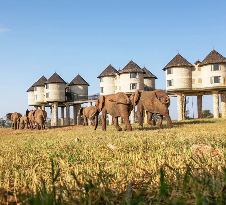 14 days lake nakuru-Masai-Mara-tsavo-east-amboseli-taita-hills