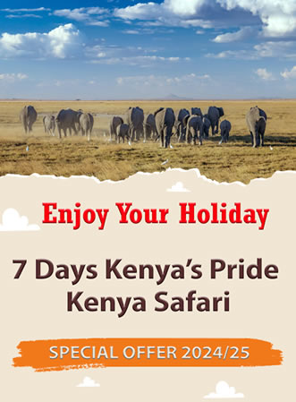 Special offer Kenya Safari package